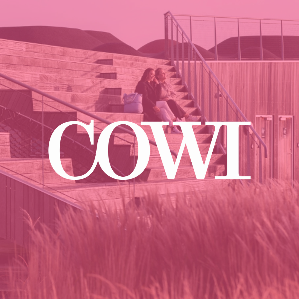 COWI
