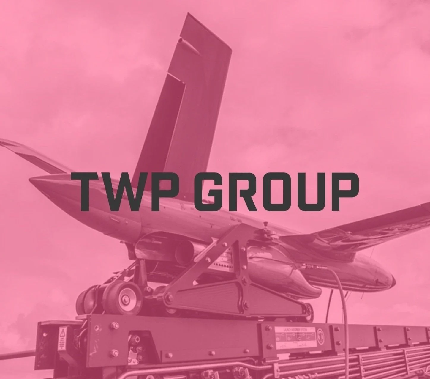 TWP Group (twoAI)